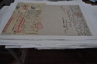 藏品(道光十二年林光燦等三人立杜賣盡根契)的圖片