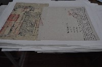 藏品(道光二十六年顏盛立杜賣盡根水田契)的圖片