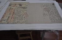 藏品(道光十七年胡咸臨等三人立杜賣盡根契)的圖片