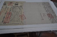 藏品(道光十二年胡凱科等二人立杜賣盡根契)的圖片