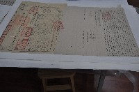 藏品(道光七年胡續部立杜賣盡根契)的圖片