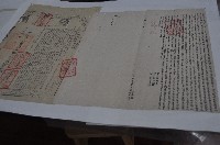 藏品(道光九年胡穀撰等二人立杜賣盡根契)的圖片