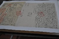 藏品(道光六年胡續部等二人立杜賣盡根契)的圖片