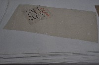 藏品(道光七年林安邦等現契)的圖片