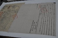 藏品(同治元年吳壽掌親立杜賣盡根水田契字)的圖片