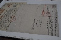 藏品(同治十三年張傳等三人立杜賣盡根水田山園埔地契字)的圖片
