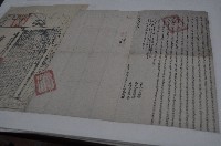 藏品(同治五年郭龍儀立杜賣盡根田園埔地契字)的圖片