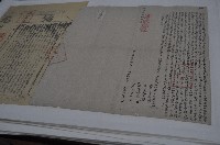 藏品(同治七年林嬰等二人仝立杜賣盡根水田契字（契尾）)的圖片