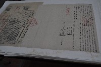藏品(同治六年游阿意等五人仝立杜賣盡根水田契字（契尾）)的圖片