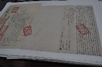 藏品(同治五年何和尚立杜賣盡根水田山場竹林樹木屋字（契尾）)的圖片