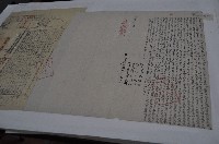 藏品(光緒三年高南海立杜賣盡根水田契（契尾）)的圖片