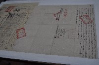 藏品(光緒六年呂光輝立杜賣盡根水田契（契尾）)的圖片