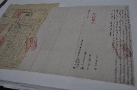 藏品(光緒七年黃金鎗等二人仝立杜賣盡根水田契字（契尾）)的圖片