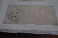 藏品(光緒七年林景仁等丈單)的圖片