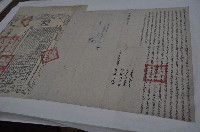 藏品(光緒十八年林茂續仝立杜賣盡根水田契人（契尾）)的圖片