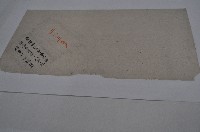 藏品(光緒十八年林景仁等佃契)的圖片