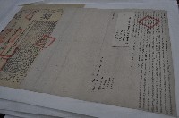 藏品(光緒十九年林章敬等三人仝立杜賣盡根水田埔地屋字契（契尾）)的圖片