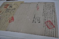 藏品(光緒二年李振文等二人仝立杜賣盡根田契字（契尾）)的圖片
