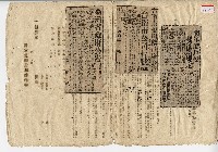 藏品(民國四十一年剪報)的圖片