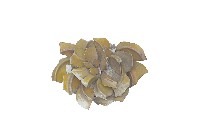 藏品(剪黏)的圖片