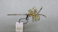藏品(清代蝴蝶掐絲串珠之鎏金髮簪)的圖片