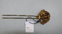 藏品(清代龍鳳首掐絲鑲嵌之銅髮釵)的圖片
