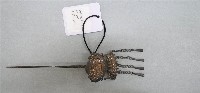 藏品(髮釵)的圖片