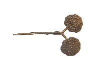 藏品(金屬製雙頭雕花髮釵)的圖片