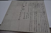 藏品(咸豐六年蔡德振等人仝立鬮書字)的圖片