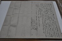 藏品(光緒九年林火立杜賣盡根契字)的圖片