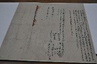 藏品(光緒六年許開盛等仝立合約字)的圖片