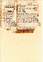 藏品(臺灣總督府民政長官文件殘片)的圖片