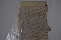 藏品(臺中州街庄巡視狀況記載資料)的圖片