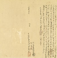 藏品(咸豐一年大肚中社番婦阿百圭立永典租契字)的圖片