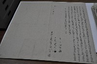 藏品(同治十二年陳河溝親立轉典番水租契字)的圖片