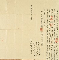 藏品(光緒二年趙戅立典番租契字)的圖片