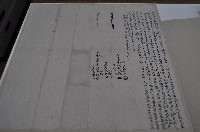 藏品(咸豐六年律等人仝立鬮書字)的圖片