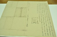 藏品(嘉慶二十一年李高生立杜賣店字地基字)的圖片