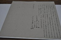 藏品(道光三十年洪主等二人立杜賣盡根田薗契字)的圖片