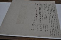 藏品(光緒元年陳上杏等人仝立分鬮書字)的圖片