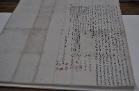 藏品(明治三十六年張蘭輝等四人立杜賣盡斷根水田埔薗房屋地基契字)的圖片