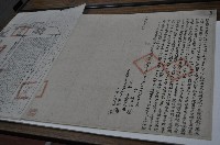 藏品(光緒九年郭兩立杜賣盡根絕田契字（含契尾）)的圖片