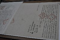 藏品(光緒八年林汗立杜賣盡根田契字（含契尾）)的圖片