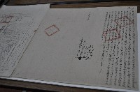 藏品(光緒十二年林三省立杜賣盡根田契字（含契尾）)的圖片