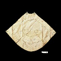 藏品(日式櫻花菱紋扇形刺繡肚兜)的圖片