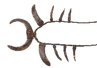 藏品(原住民頸飾)的圖片