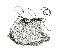 藏品(馬蘭阿美族漁網)的圖片