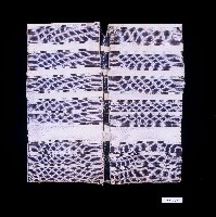 藏品(達悟族男上衣)的圖片