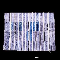 藏品(達悟族披巾)的圖片