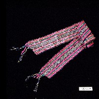 藏品(卲族頭帶)的圖片